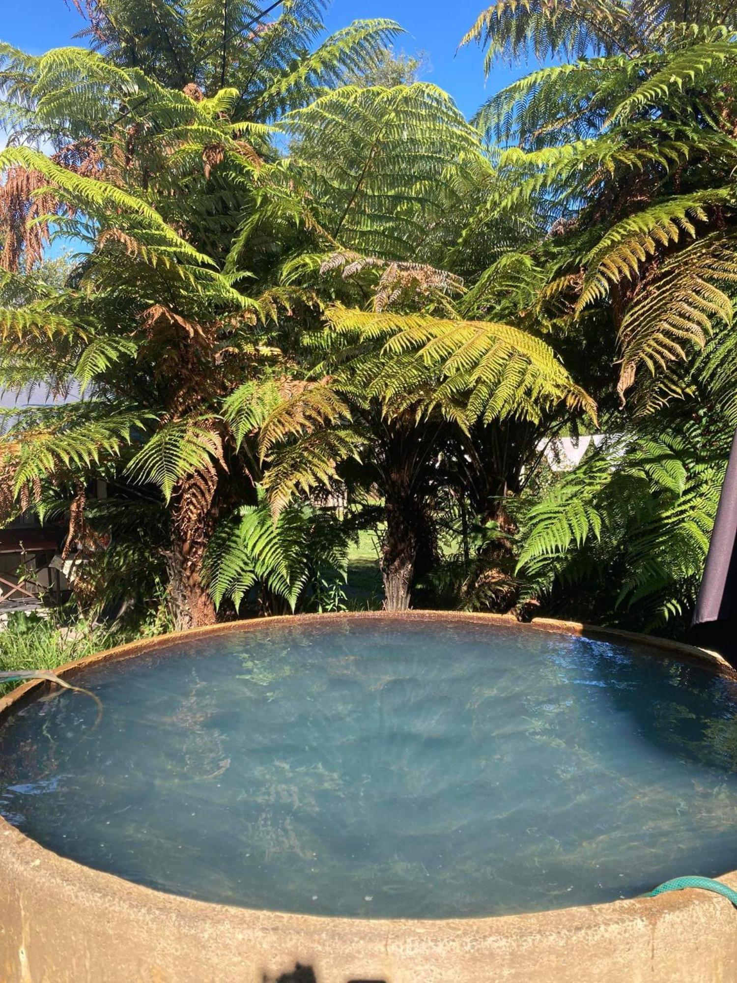 Whare&Geothermal Pool By Lake Taupo Терейнджи Экстерьер фото