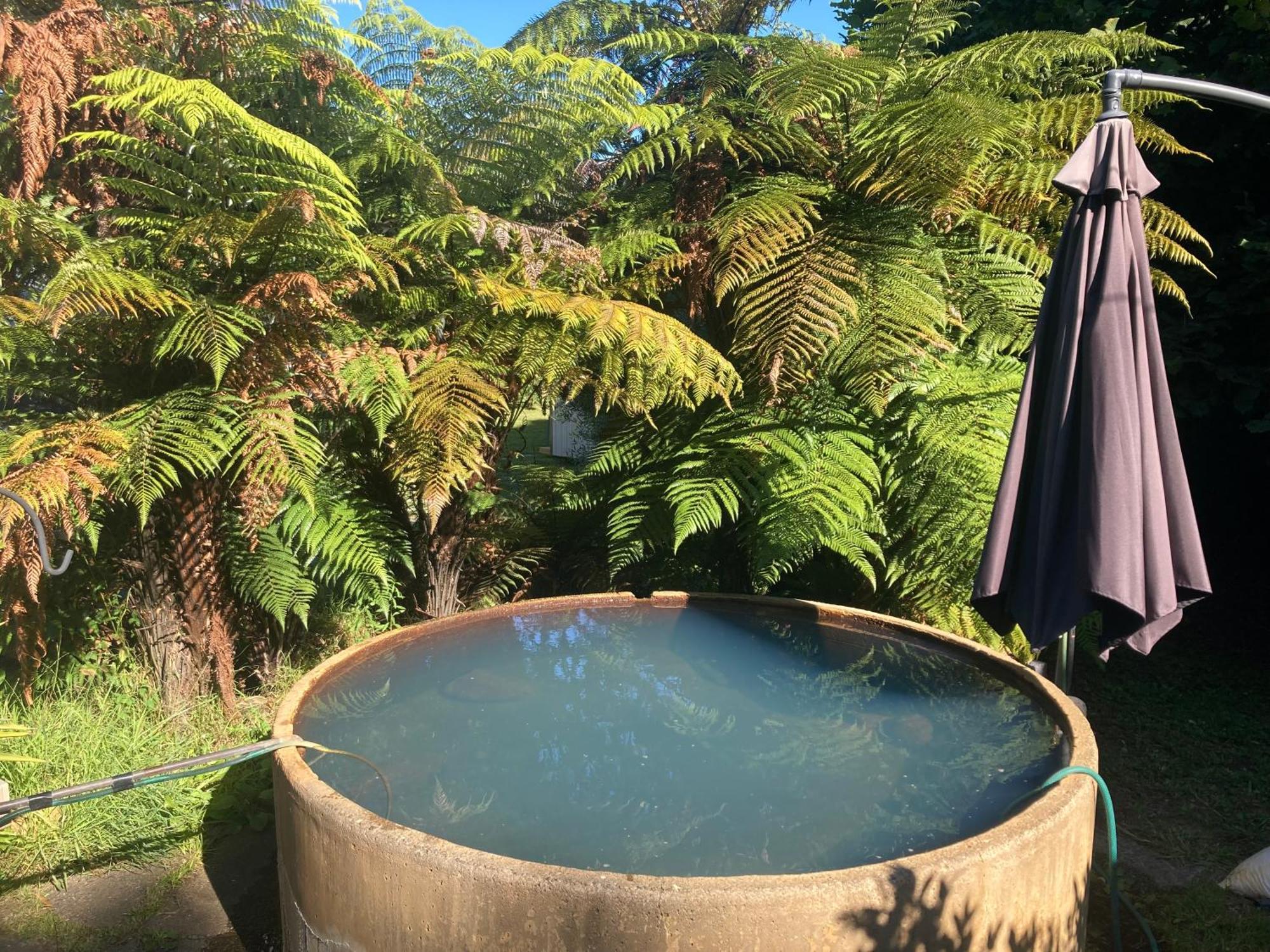 Whare&Geothermal Pool By Lake Taupo Терейнджи Экстерьер фото
